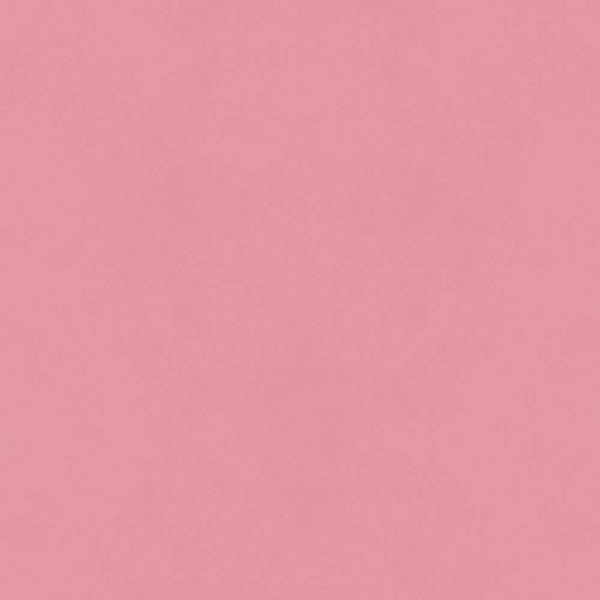 Hatte Me! Palette | 20 Peaches